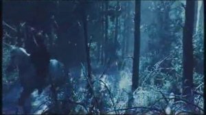 Da B.O.M.B..Piraty.wmv