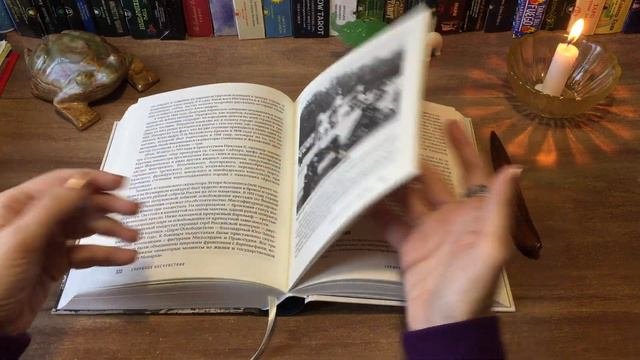 ВИКТОРИЯ УГРЮМОВА. ОБЗОР КНИГИ СТАРИННЫЙ КИЕВ. АЛЕКСАНДР АНИСИМОВ. ИЗД-ВО СКАЙ ХОРС, 2021.