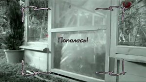 Аdvertising Реклама Китикет Kitekat Борис поймал пчелу In Migth Confuse You