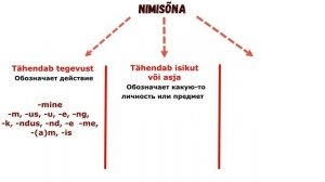 Nimisõna. Знакомимся с существительными. Образование множественного числа и характерные окончания.