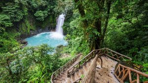 Красивая Коста-Рика | Путешествие в Коста-Рику