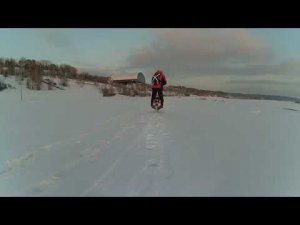 Veteran Lynx & Patton