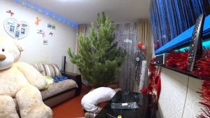 НАРЯЖАЕМ ЁЛКУ К 2021 ГОДУ