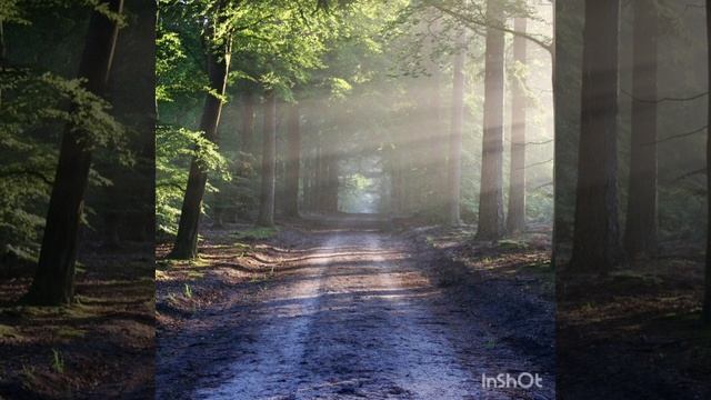 МГНОВЕННОЕ УСПОКОЕНИЕ. КРАСИВАЯ РАССЛАБЛЯЮЩАЯ МУЗЫКА.5 МИНУТ РЕЛАКСА. смотреть онлайн