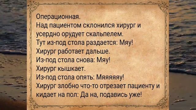 Большой сборник анекдотов! 40 анекдотов! #анекдоты #подборкаанекдотов #сборниканекдотов #шутки