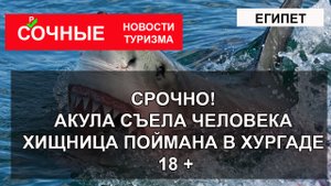 ЕГИПЕТ2023. Акула съела человека в Хургаде 8 июня 2023 | ХИЩНИКА ПОЙМАЛИ
