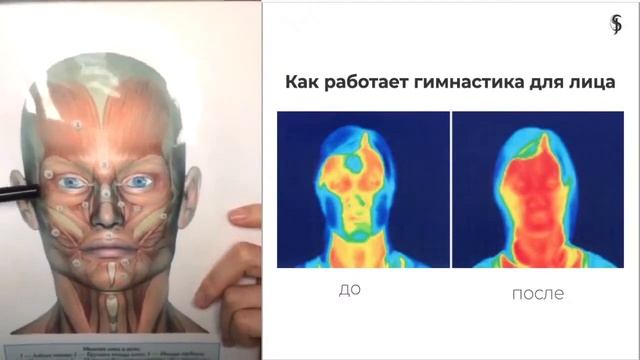 Как работает гимнастика для лица смотреть онлайн