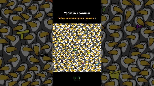 Найди пингвина среди туканов ?