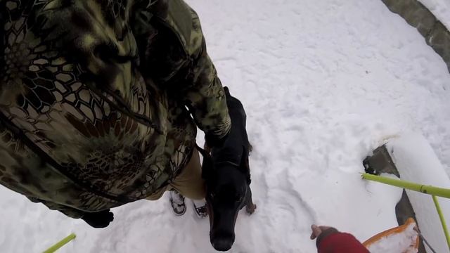 Doberman Sky. Protection and security смотреть онлайн