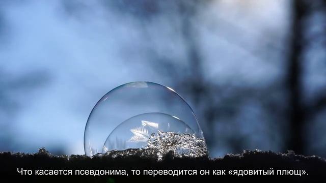 10 знаменитых девушек-рокеров