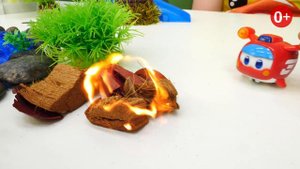 Супер Крылья Питомцы на учебе! Игры для детей в самолетики! Видео игрушки мультиков Super Wings