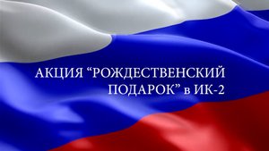 Акция "Рождественский подарок" в ИК-2