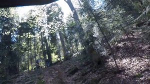 ведьмино озеро  никитино,...май 21 года