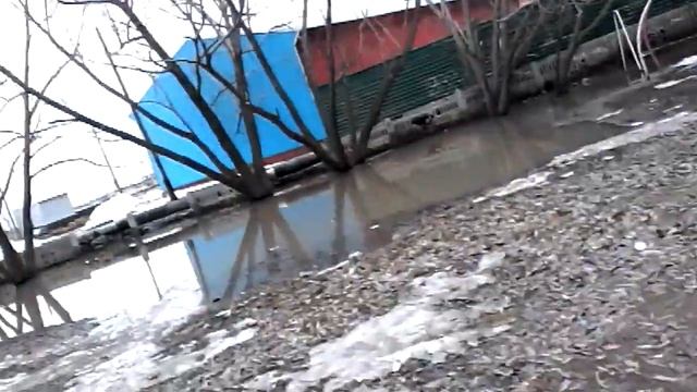 Едем на дачу #1 смотреть онлайн