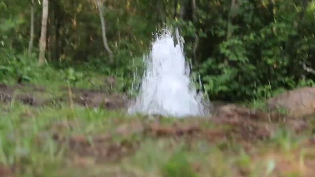 Гейзер в гатчине смотреть онлайн