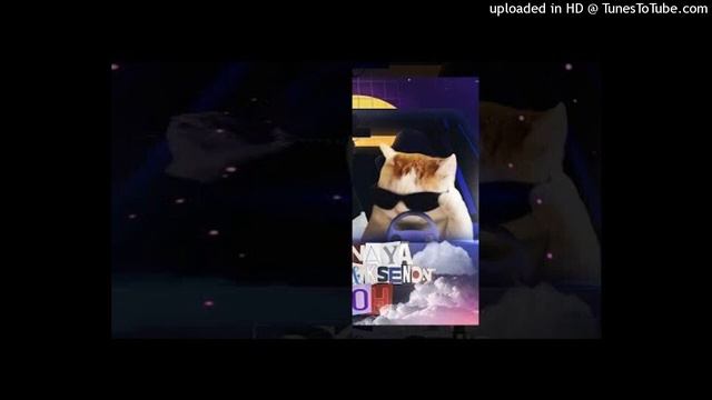 MEMNAYA PAPKA, Ksenon - Леон, но каждый второй бит отсутствует смотреть онлайн