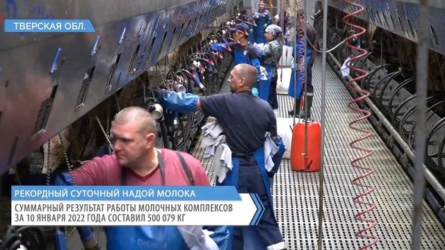 Рекордный суточный надой на молочных комплексах ГК «Агропромкомплектация»