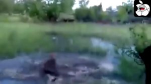 ЛУЧШИЕ ПРИКОЛЫ 2017 КЛАССНАЯ ЛУЧШАЯ ПОДБОРКА ВИДЕО ПРИКОЛОВ 772