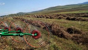 грабли унисибмаш в работе 2021