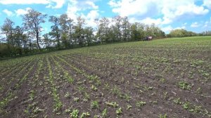 Борьба с СОРНЯКАМИ на Кукурузе / Гербицид на Кукурузу.