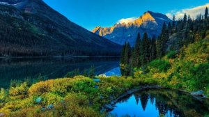 The Stolen Orchestra. We Have To Leave