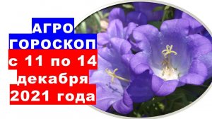 Агрогороскоп с 11 по 14 декабря 2021 года