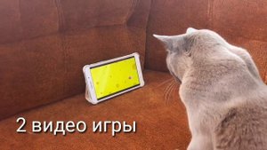 Что делать если кошка стала агрессивной? 2 часть