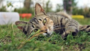 Городские зарисовки