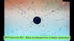 Теория заговора. Торговцы фаст фудом (1 канал).