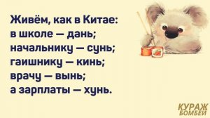 Аморальные мемы: юмор на логику, много сладкого и карп из приюта #анекдоты