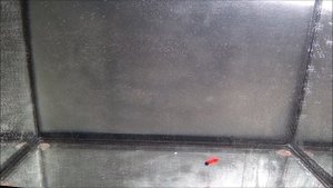 МОРМЫШИНГ. ИГРА МОРМОСИЛИКОНА ПОД ВОДОЙ. МОРМЫШКА 0.5 Г. ПРИМАНКИ ОТ АЛЕКСЕЯ УШАКОВА.