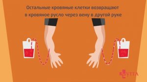 Как стать донором костного мозга