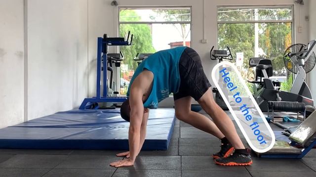 BASICS: Elephant Walk смотреть онлайн