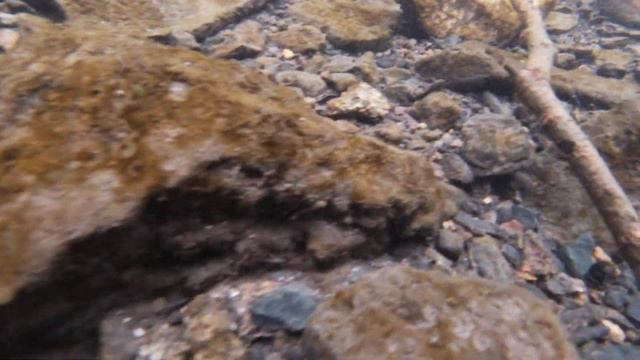 GoPro HERO 7 Silver съёмка под водой