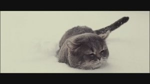 MERTI - It's All The Same.mp4