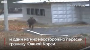 Побег из КНДР  как военный бежал в Южную Корею