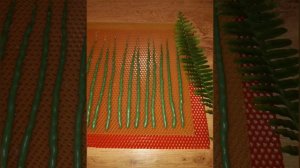 МАКАНЫЕ свечи с базиликом, программа "Финансовый успех и благополучие"