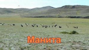 Мы служили в Монголии.