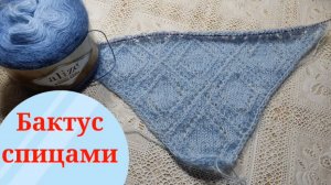 Как связать Бактус спицами или мини шаль