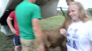 Лев Олежка  и его гости ! Тайган