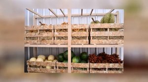 Как сохранить арбуз до Нового года?!