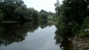 Универсальный малявочник