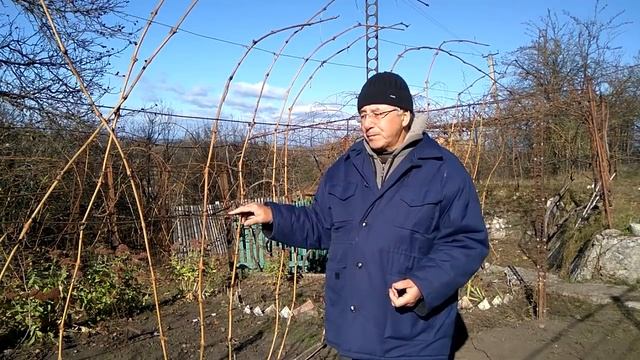 @Начинающим виноградарям Обзор формировок кустов смотреть онлайн