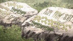 аниме где гг сильнейший все серии подряд