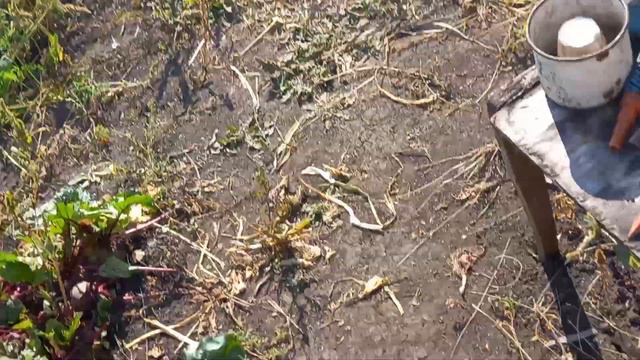 уборка в огороде.Жизнь на даче смотреть онлайн