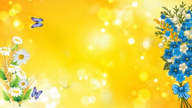 Футаж. Полевые цветы. Ромашки, бабочка смотреть онлайн