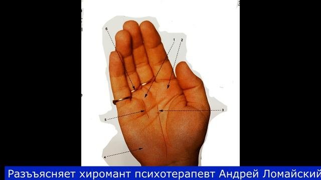 Хиромантия. Разъяснения и иллюстрации. Хиромант Андрей Ломайский.Линия успеха - чуть заметная