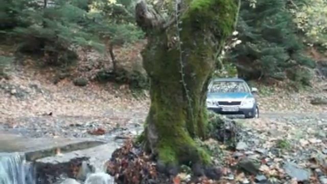 skoda octavia scout 1,8 tsi on mnt taygetos смотреть онлайн