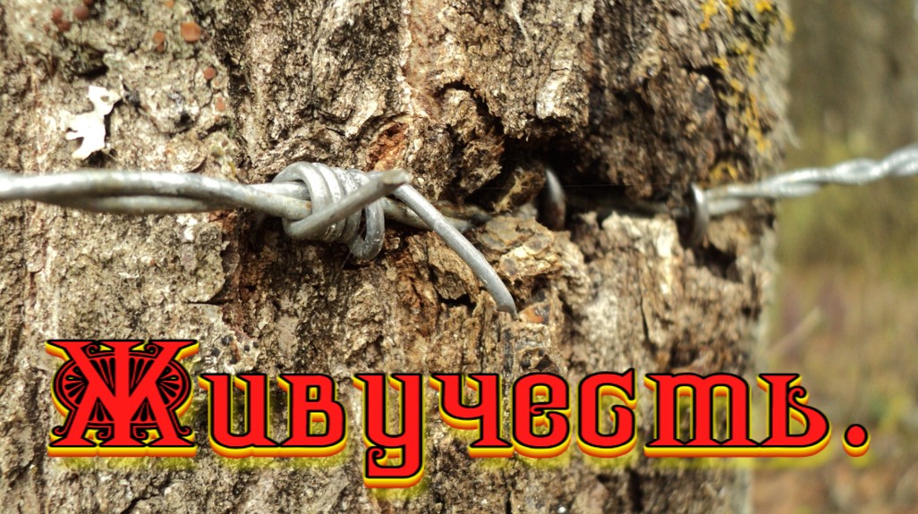 Живучесть.