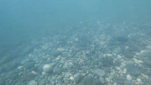 Море Абхазия Пицунда Подводная съемка